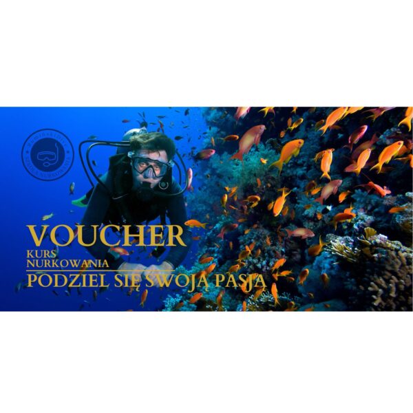 voucher kurs nurkowania dorosły voucher kurs nurkowania dorosły